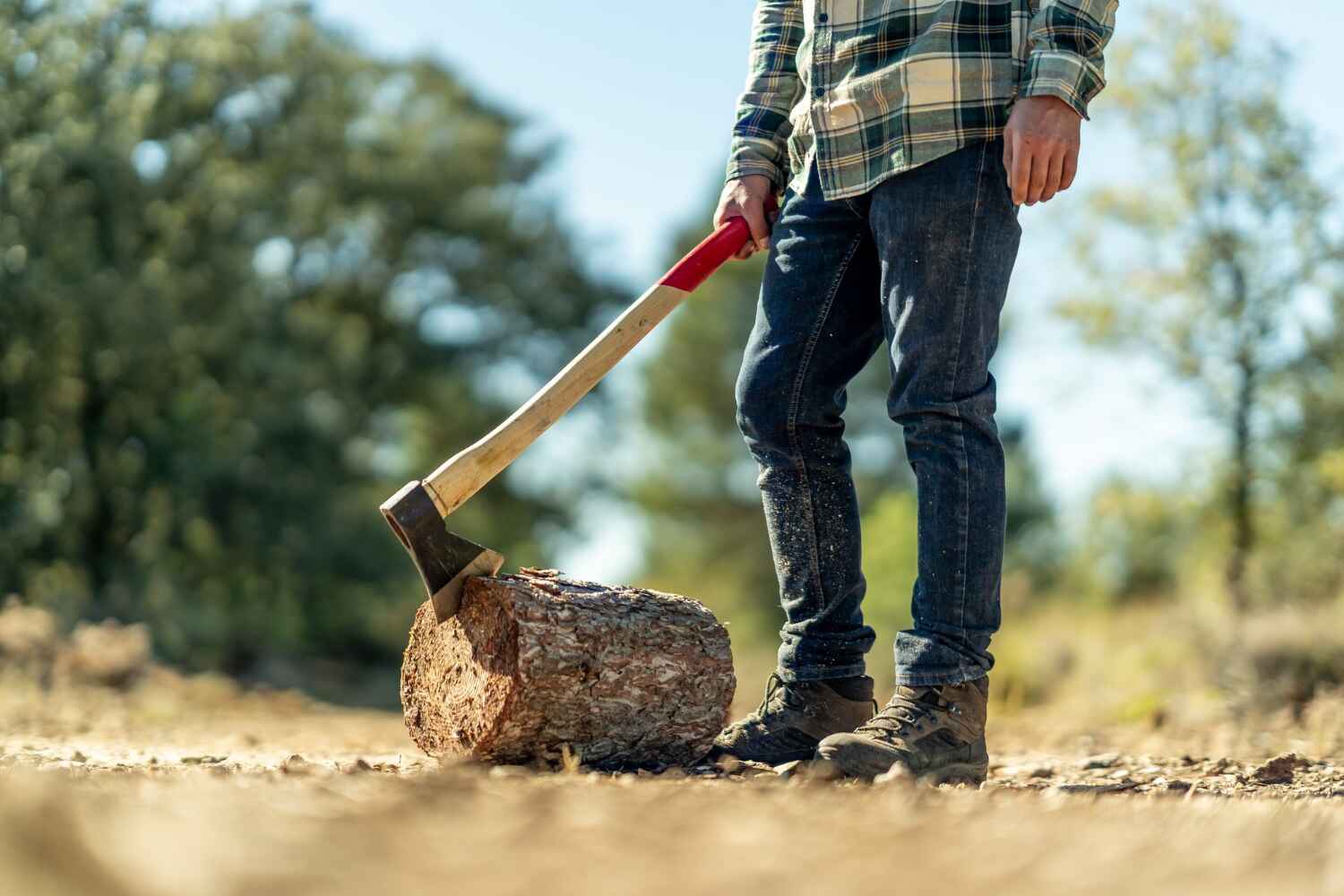 The Steps Involved in Our Tree Care Process in Port Lavaca, TX